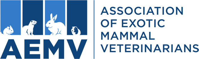 AEMV Merchandise Store Custom Shirts & Apparel