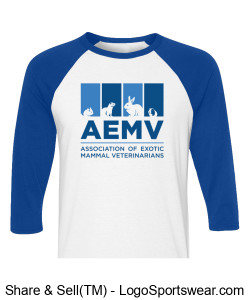 Bella + Canvas Unisex 3/4 Sleeve Baseball T-Shirt Design Zoom